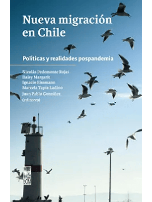 Nueva Migracion En Chile