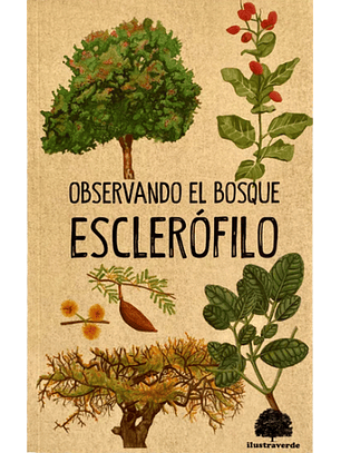 Observando El Bosque Esclerófilo