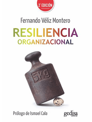 Resiliencia Organizacional