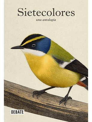 Sietecolores: Una Antología