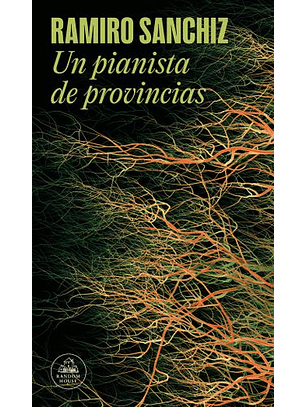 Un Pianista De Provincias