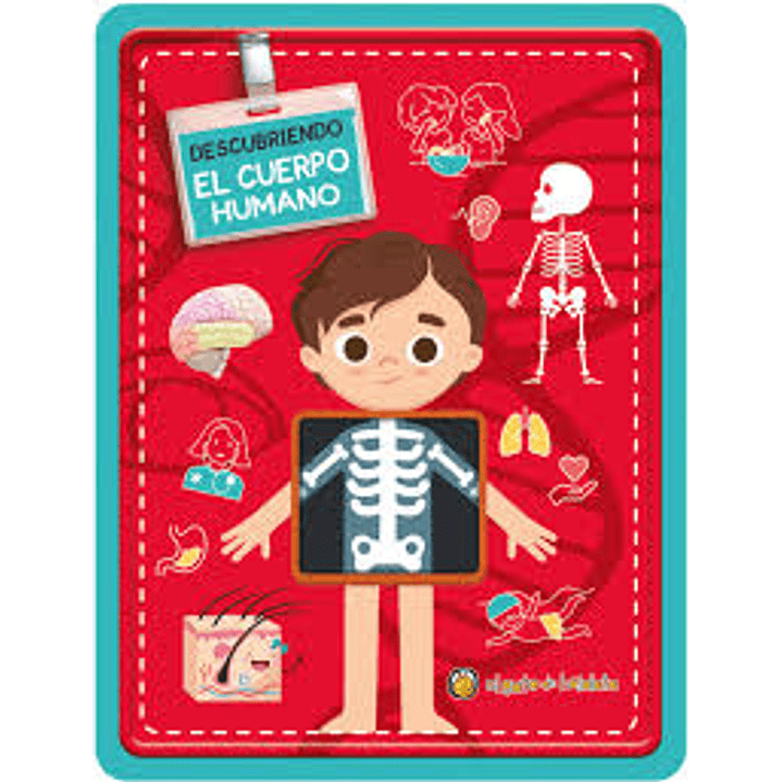 Descubriendo El Cuerpo Humano 1