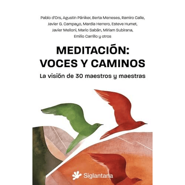 Meditacion Voces Y Caminos 1