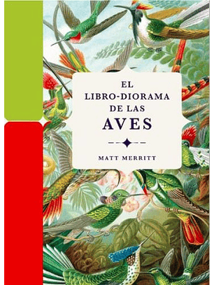 Diorama De Las Aves