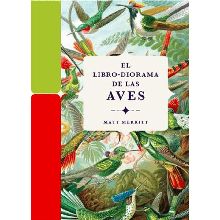 Diorama De Las Aves 1