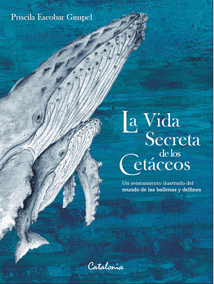 La Vida Secreta De Los Cetaceos