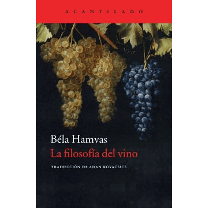 La Filosofia Del Vino 1