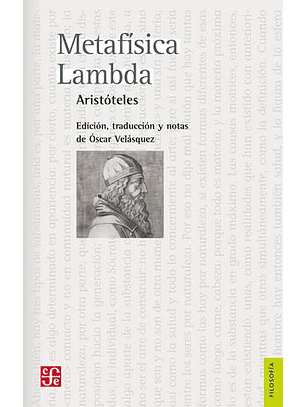 Metafísica Lambda