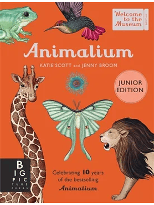 Animalium Junior Edition