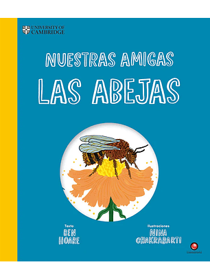 Nuestras Amigas Las Abejas