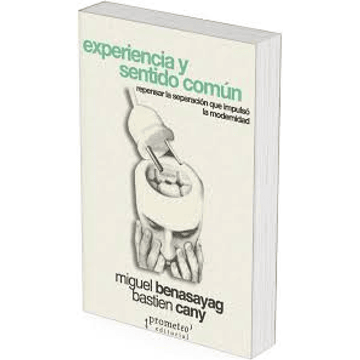 Experiencia Y Sentido Común  1