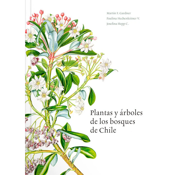 Plantas Y Arboles De Los Bosques De Chile 1