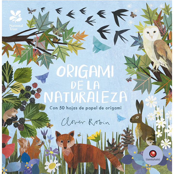 Origami De La Naturaleza 1