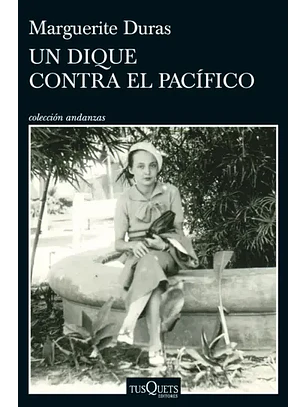 Un Dique Contra El Pacifico