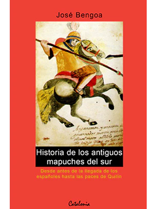 Historia De Los Antiguos Mapuches
