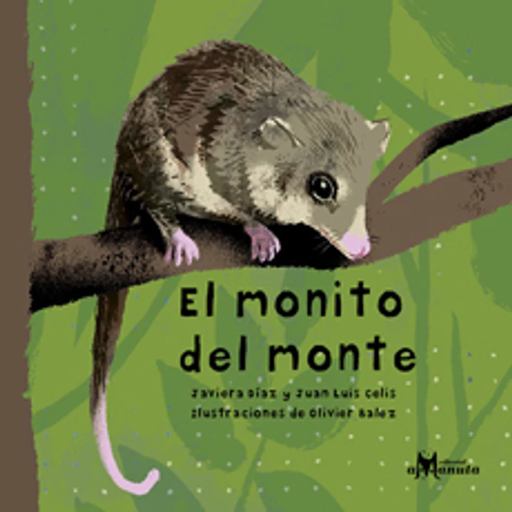 El Monito Del Monte 1