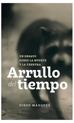 Arrullo Del Tiempo