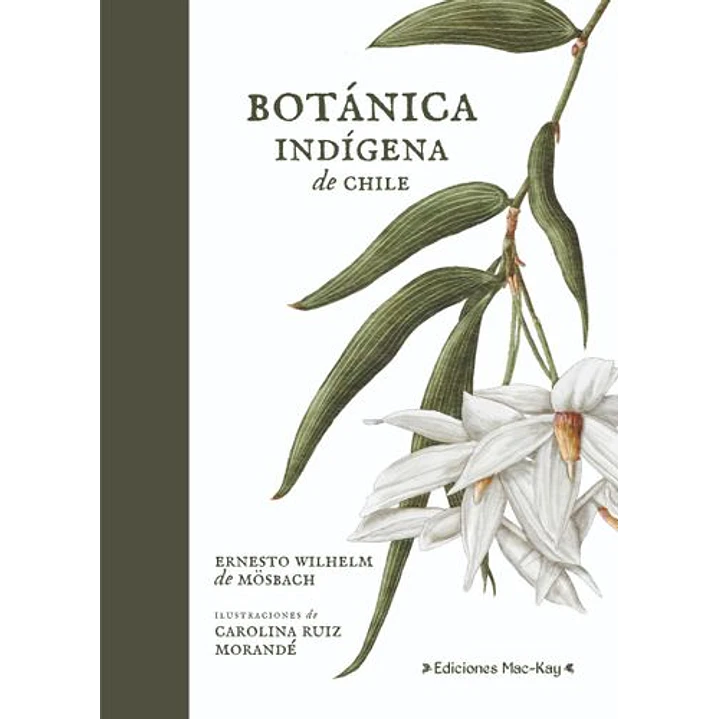 Botánica Indígena De Chile 1