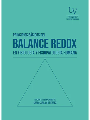Principios Basicos Del Balance Redox