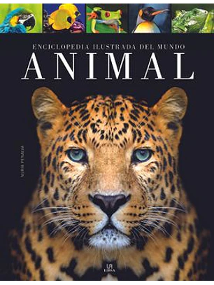 Enciclopedia Ilustrada Del Mundo Animal