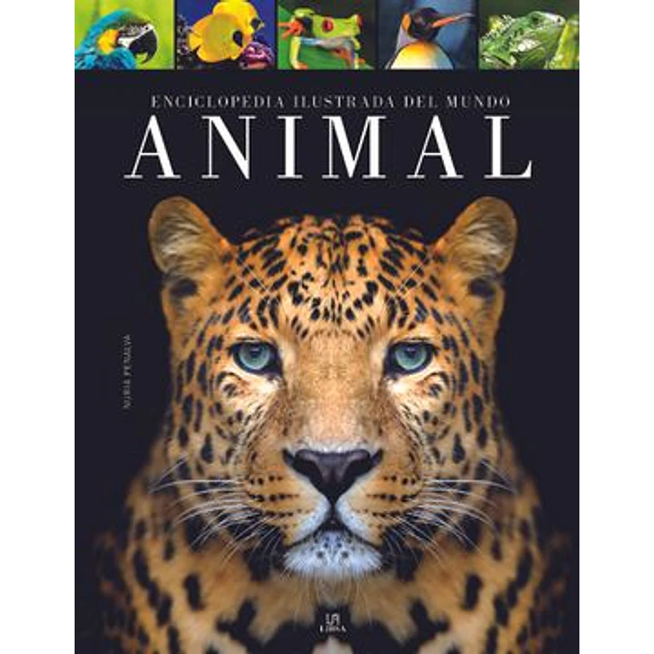 Enciclopedia Ilustrada Del Mundo Animal 1