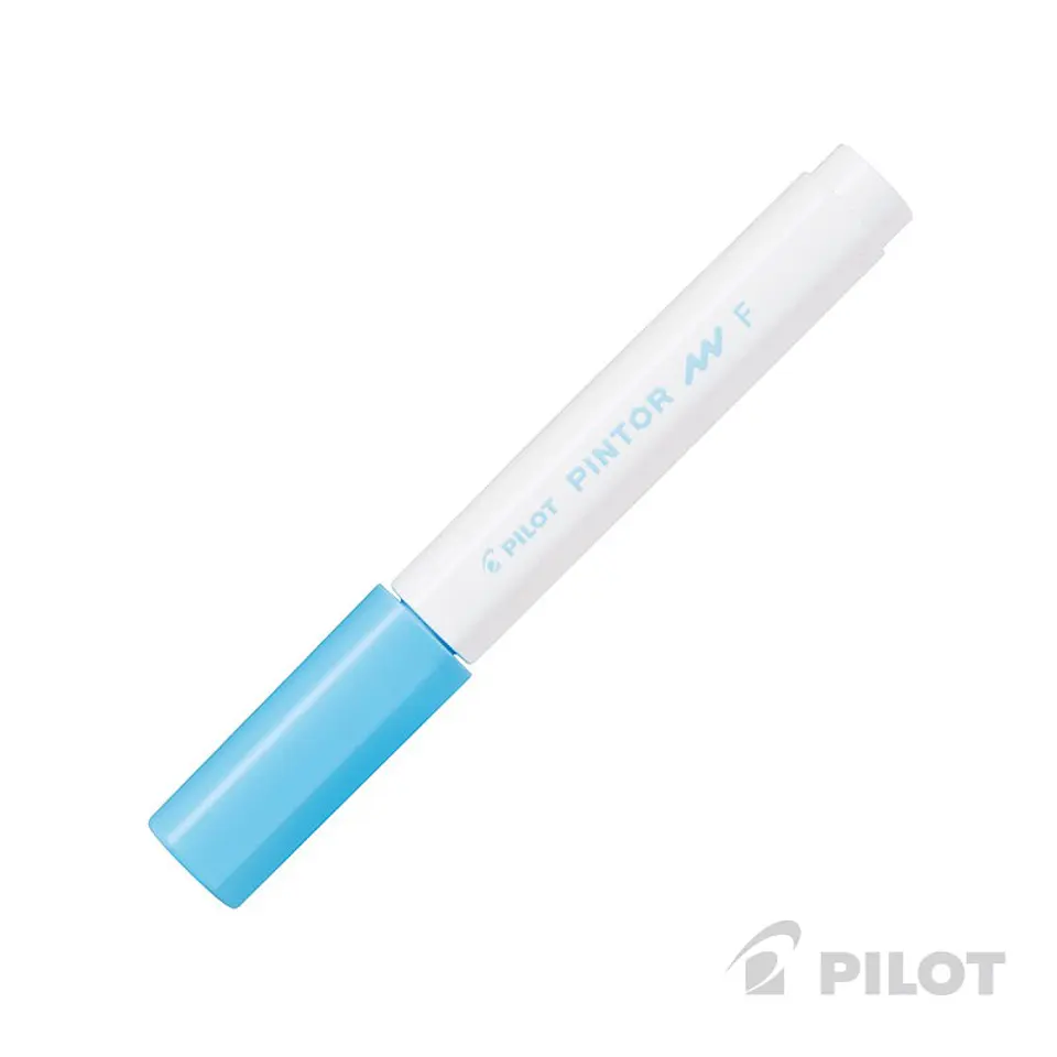 Pilot Pinto Punta Fina 7