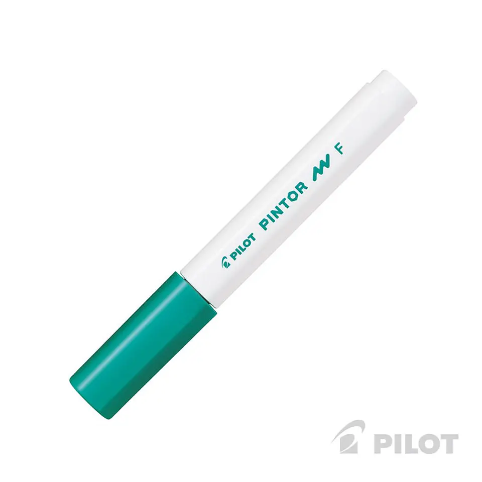Pilot Pinto Punta Fina 9