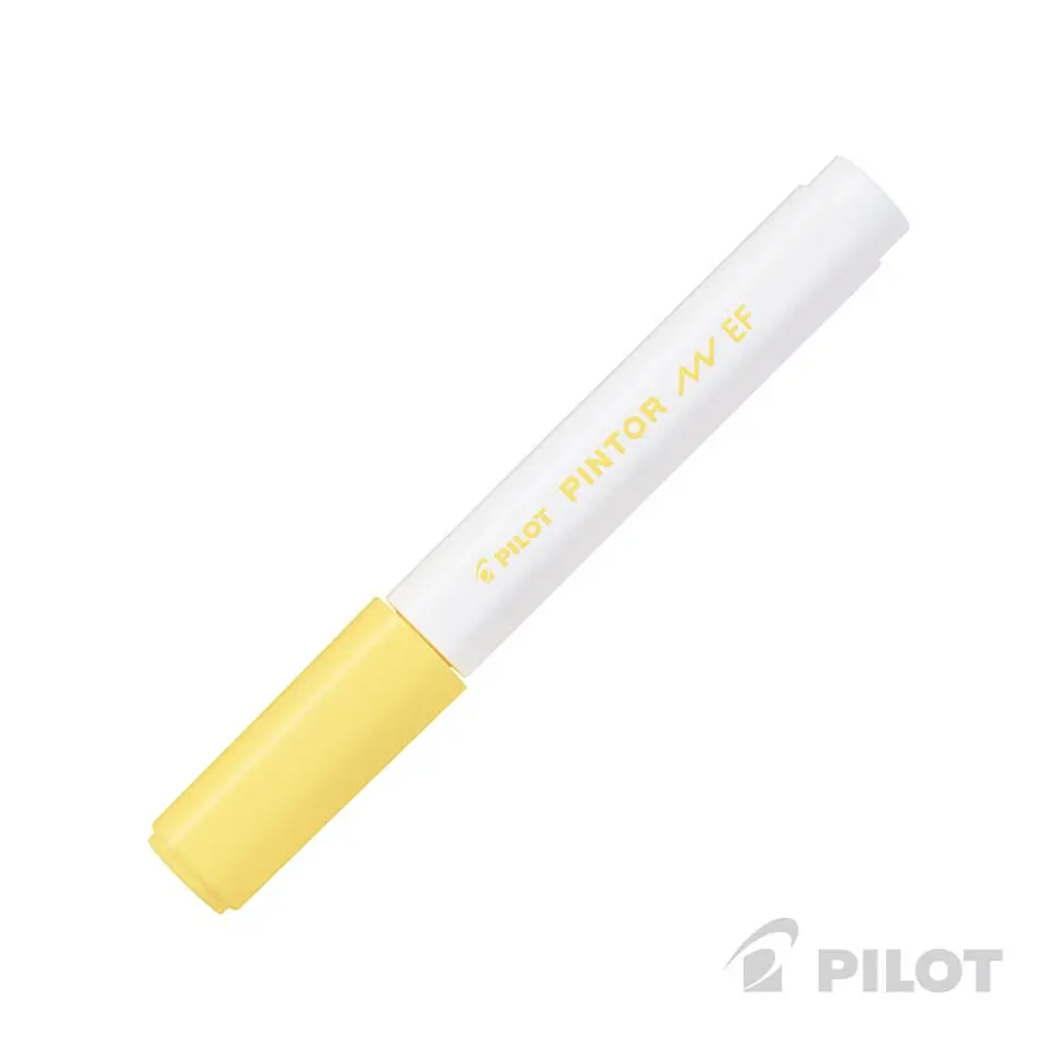 Pilot Pintor Punta Extra Fina 1