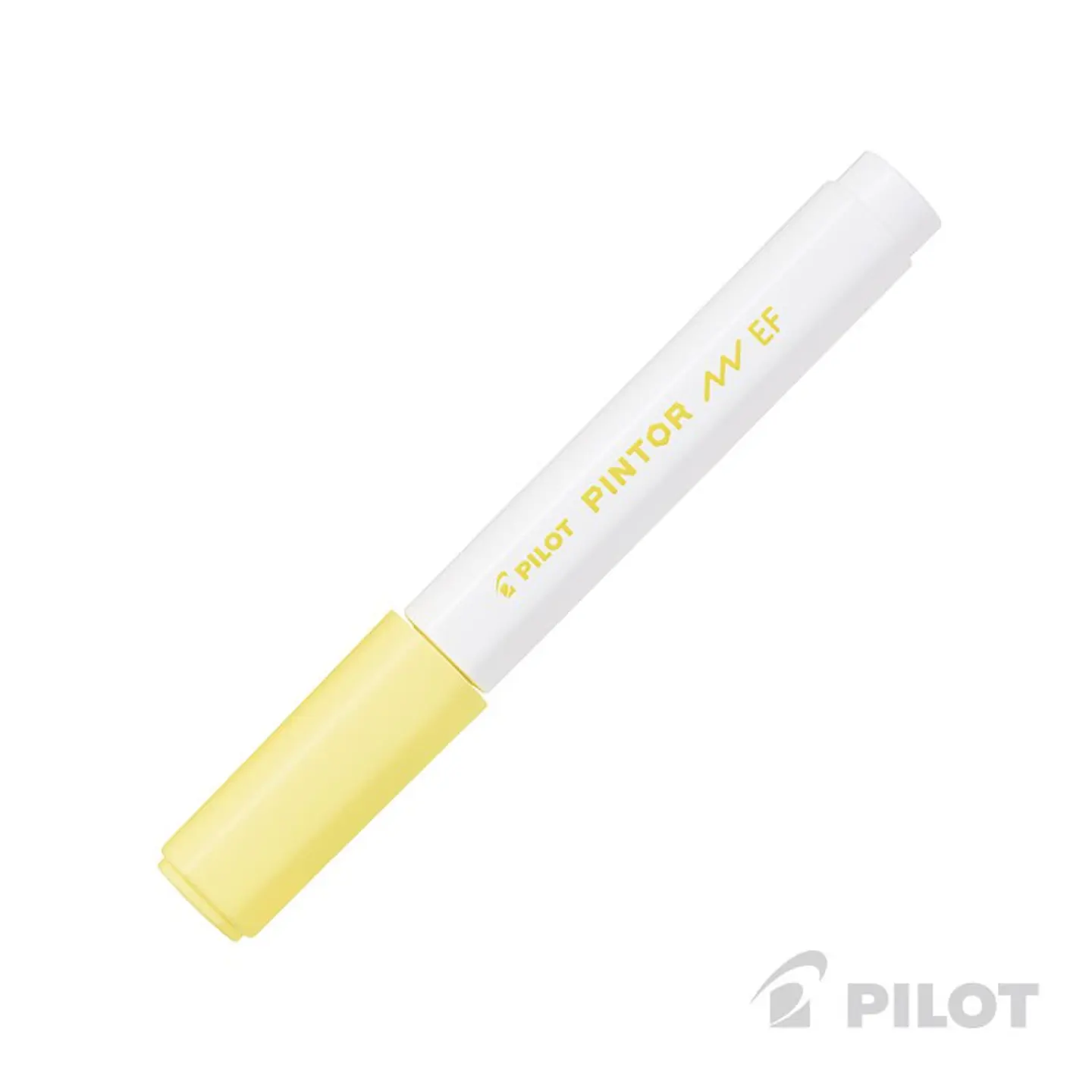 Pilot Pintor Punta Extra Fina 2