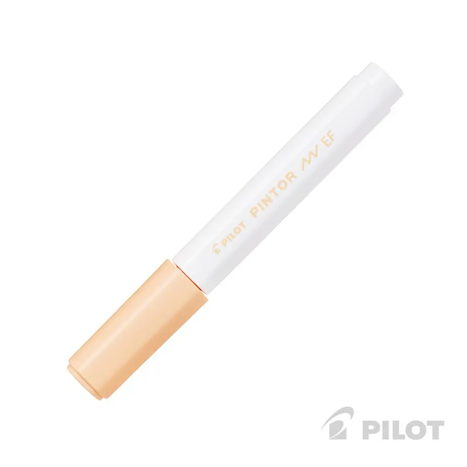 Pilot Pintor Punta Extra Fina 3