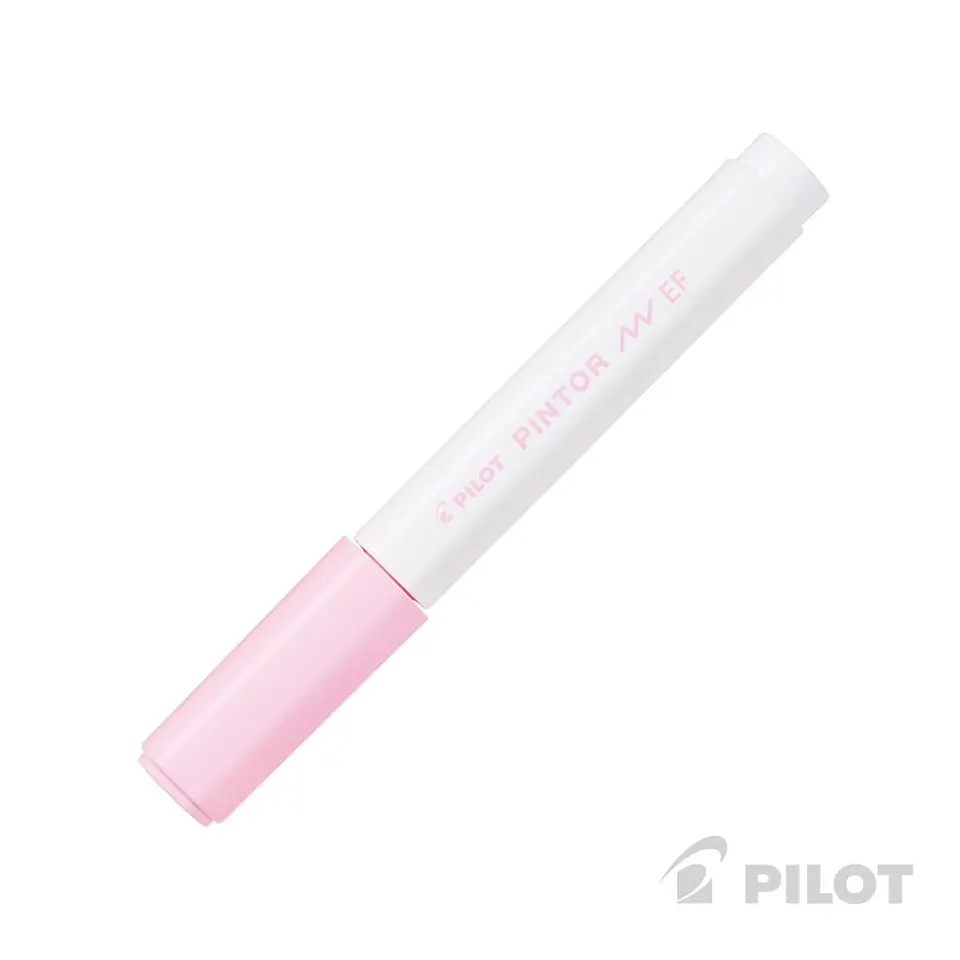 Pilot Pintor Punta Extra Fina 4