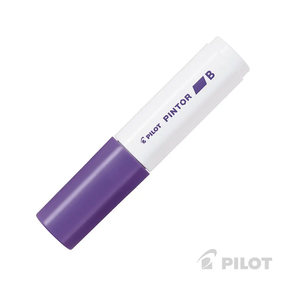 MARCADOR PILOT PINTOR BISELADO 3