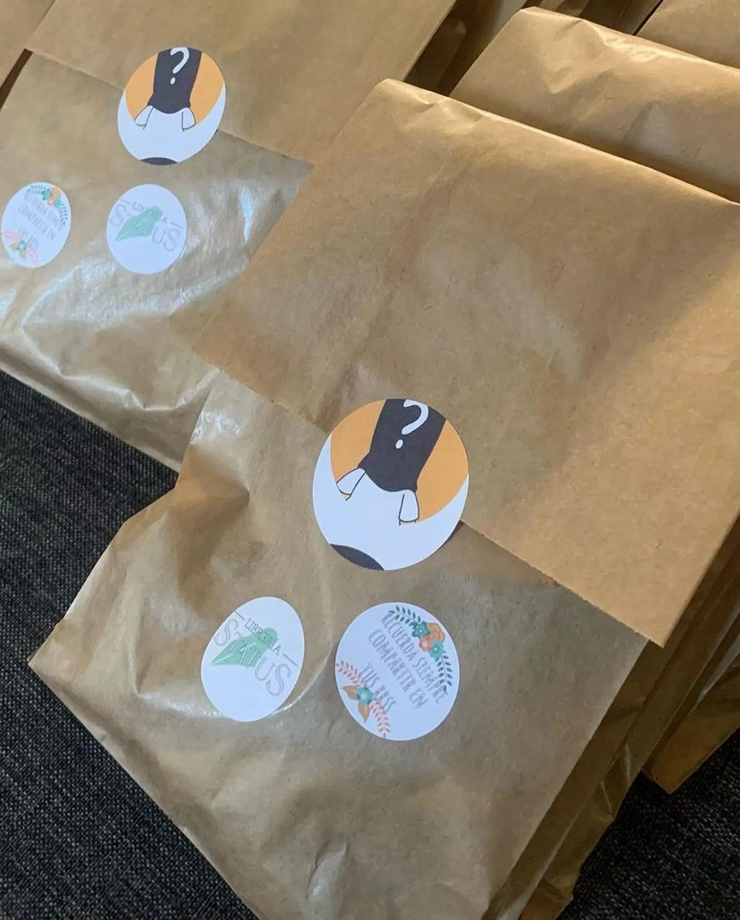 Bolsa Sorpresa  1