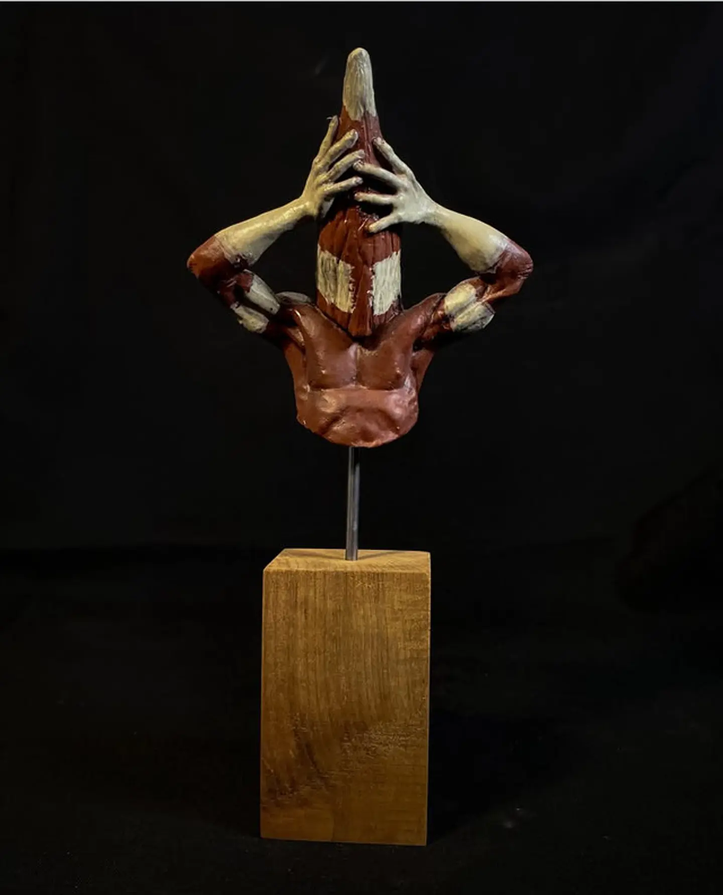 Busto selknam Matan 25cm 1