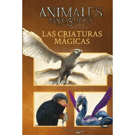 Animales Fantasticos Las Criaturas Magicas