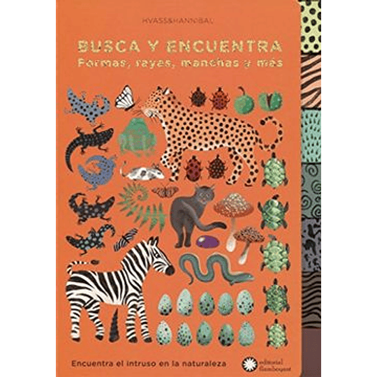 Busca Y Encuentra Formas, Rayas, Manchas Y Mas