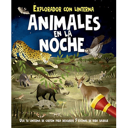 Animales En La Noche