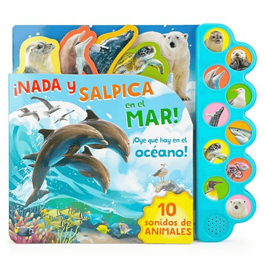 Nada Y Salpica En El Mar 10 Sonidos De Animales