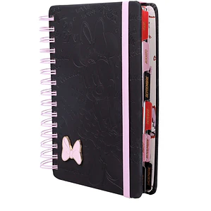 Agenda Minnie 2027