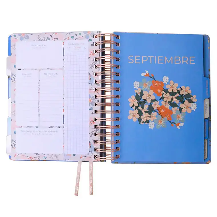 Agenda Cerezo 2027 2