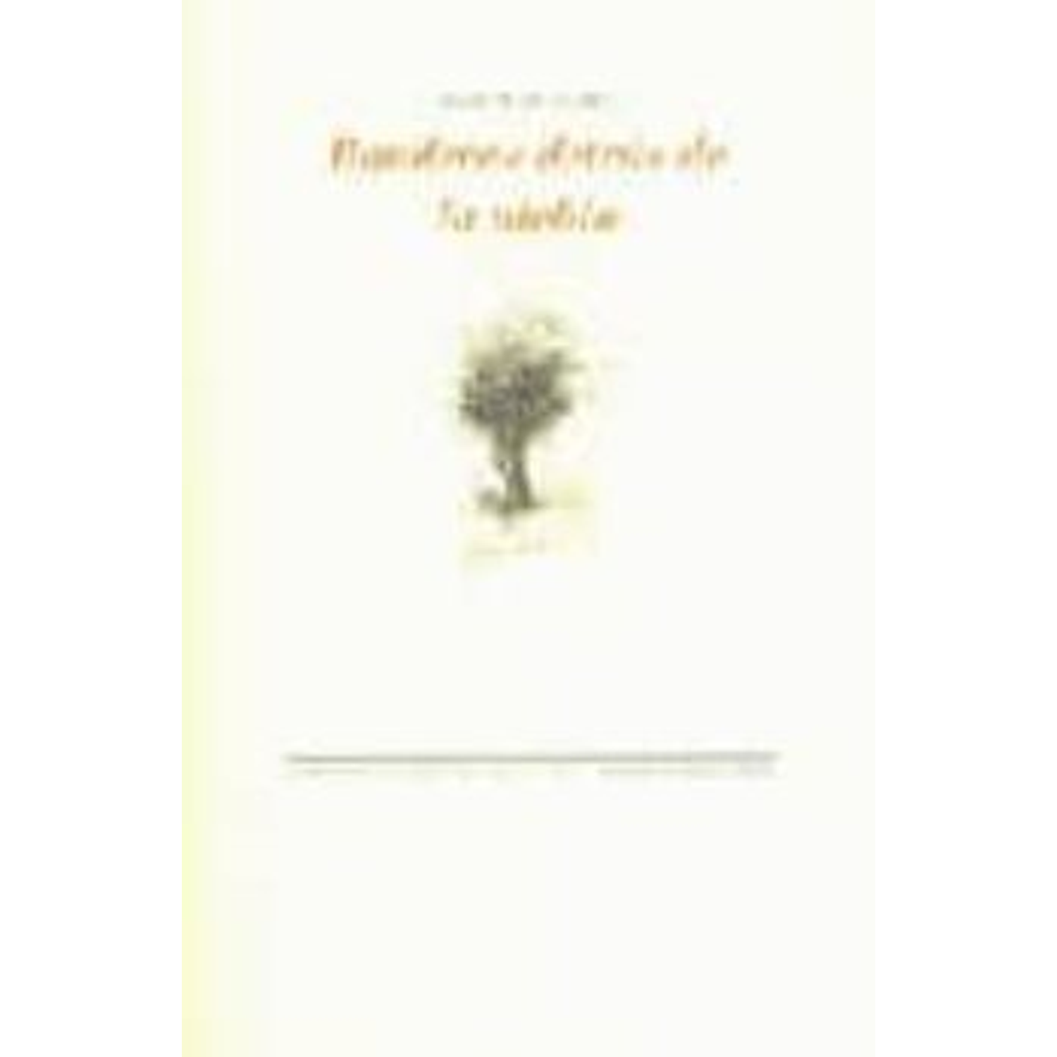 Banderas Detrás De La Niebla