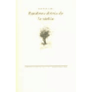 Banderas Detrás De La Niebla