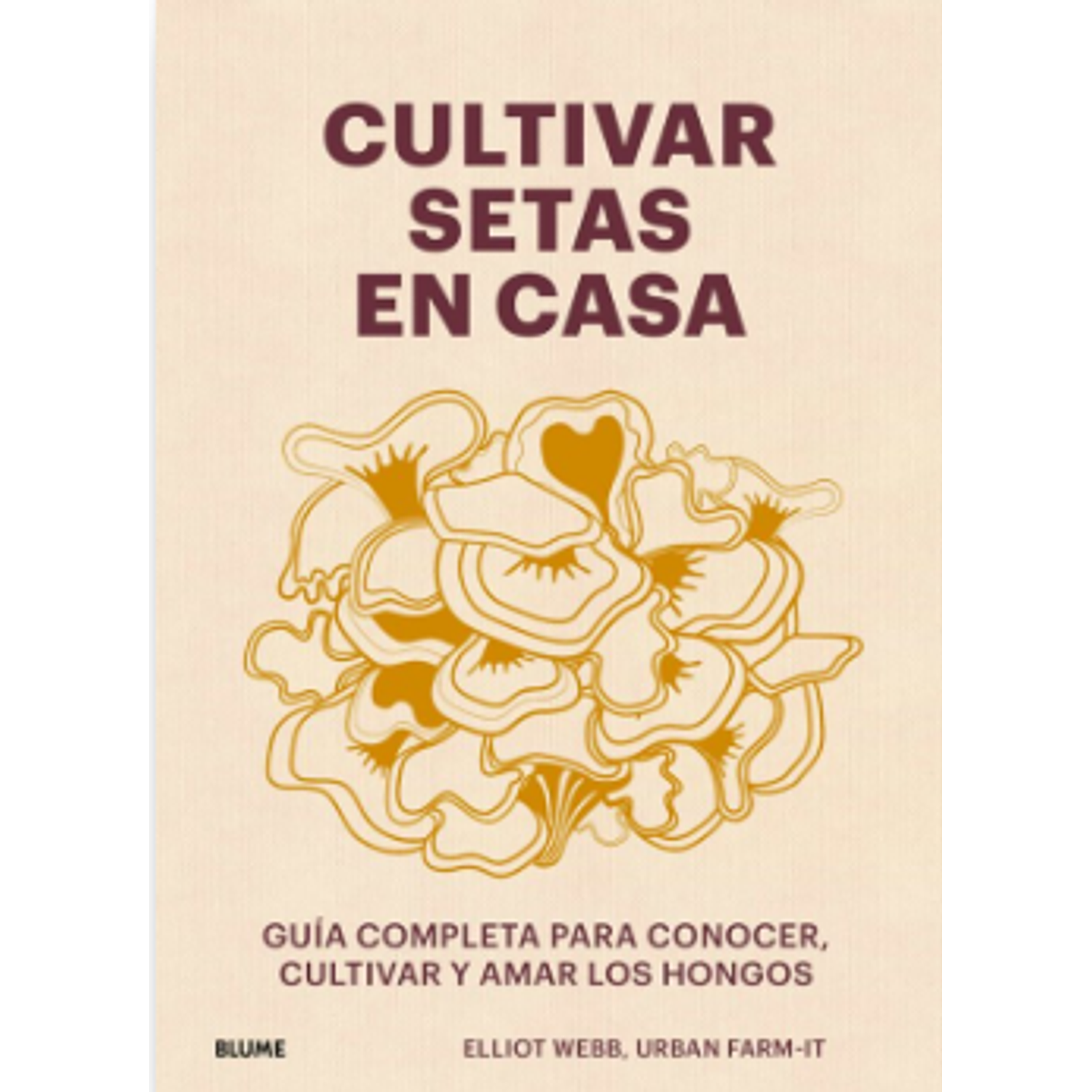 Cultivar Setas En Casa