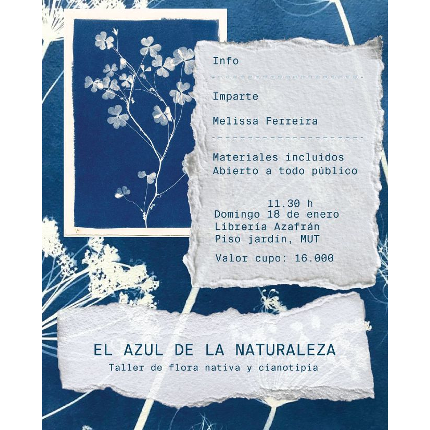 Taller De Cianotipia: El Azul De La Naturaleza