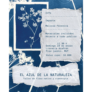 Taller De Cianotipia: El Azul De La Naturaleza