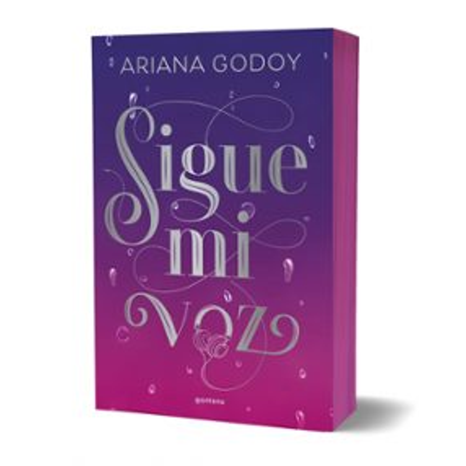 Sigue Mi Voz (Cantos Pintados)