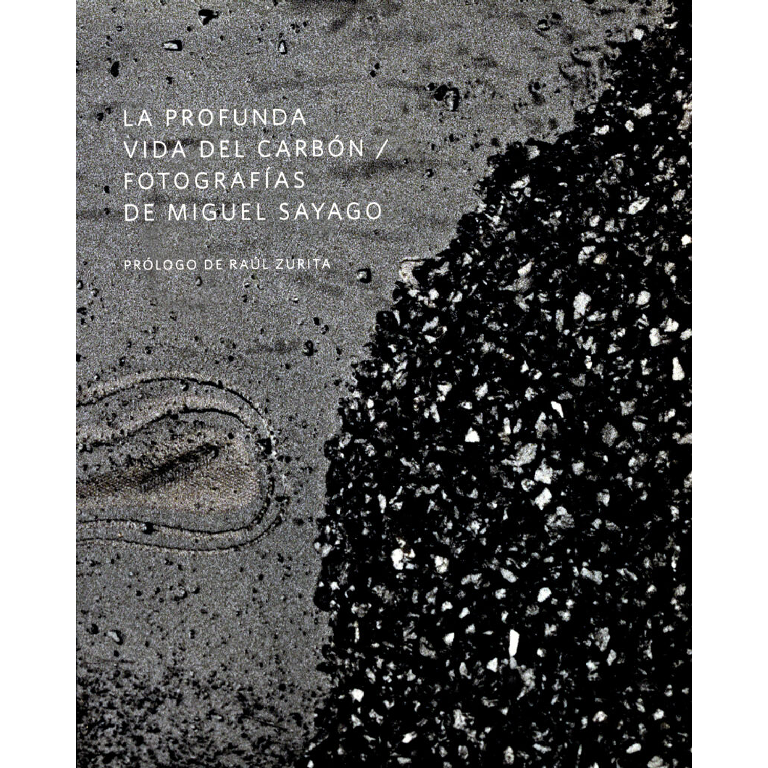 La Profunda Vida Del Carbón