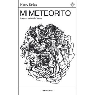 Mi Meteorito