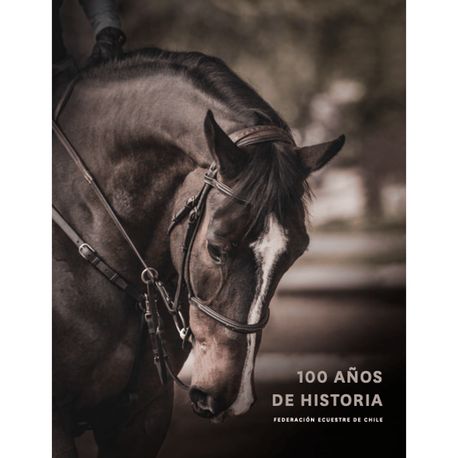 100 Años De Historia (Ecuestre)