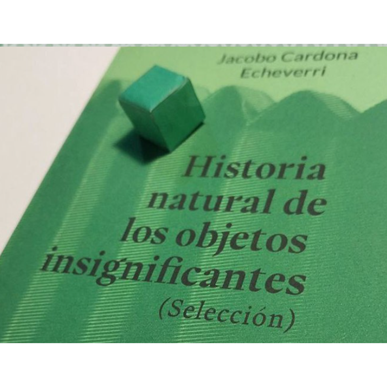 Historia Natural De Los Objetos Insignificantes (Selección)
